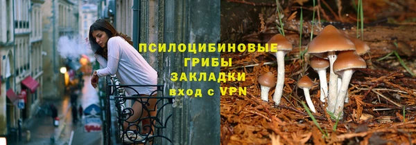 крисы Нефтегорск