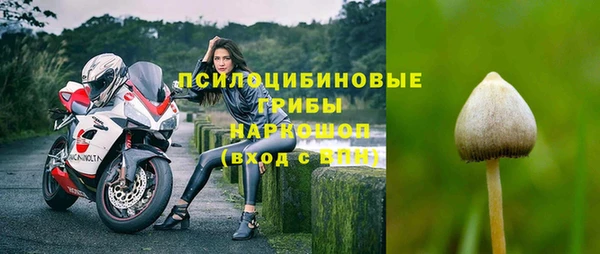 крисы Нефтегорск