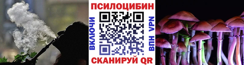 где можно купить   Шахты  мориарти клад  Галлюциногенные грибы мицелий 