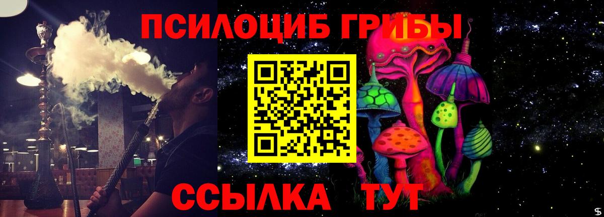 Шахты  Галлюциногенные грибы Psilocybe  Вход с VPN  Псилоцибиновые грибы мицелий 